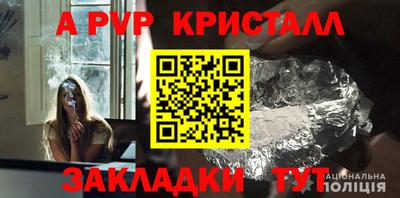 гидропоника Пугачёв