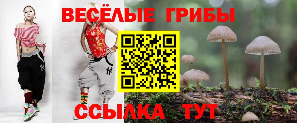 Фролово  Псилоцибиновые грибы прущие грибы  закладки  Вход с VPN  Псилоцибиновые грибы Magic Shrooms 